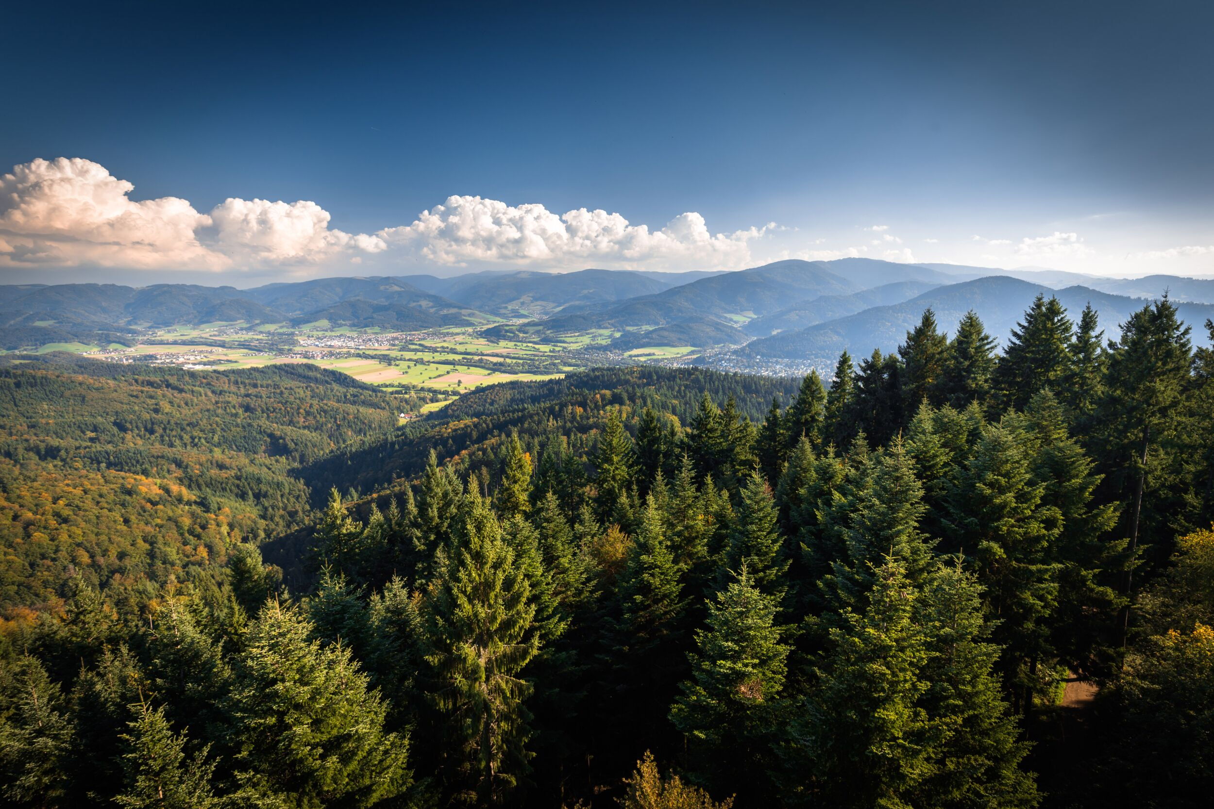 Blick vom Rosskopf ins Dreisamtal